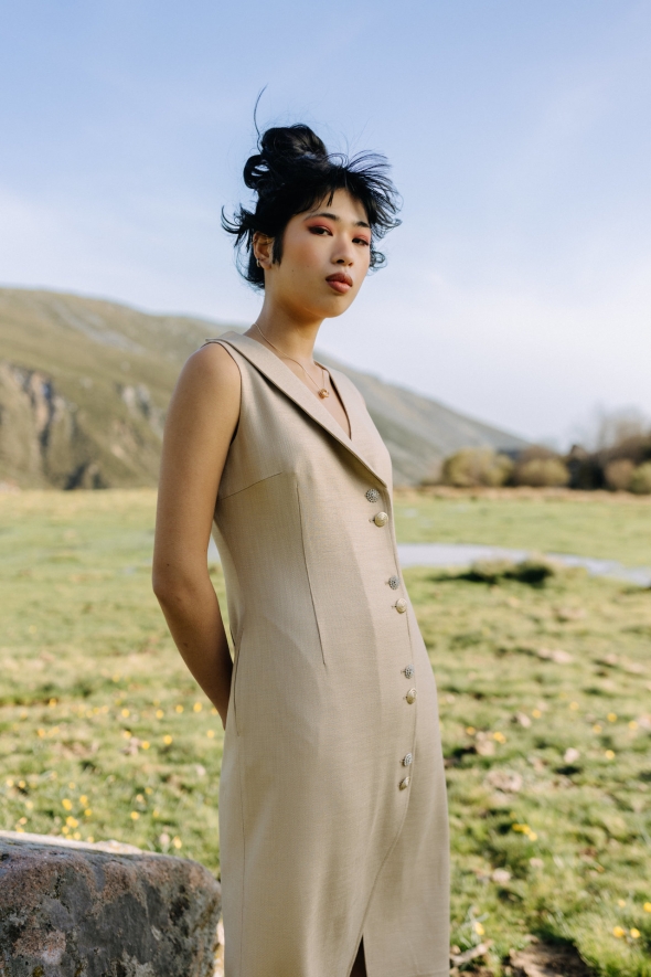 BRIGHTNESS DRESS