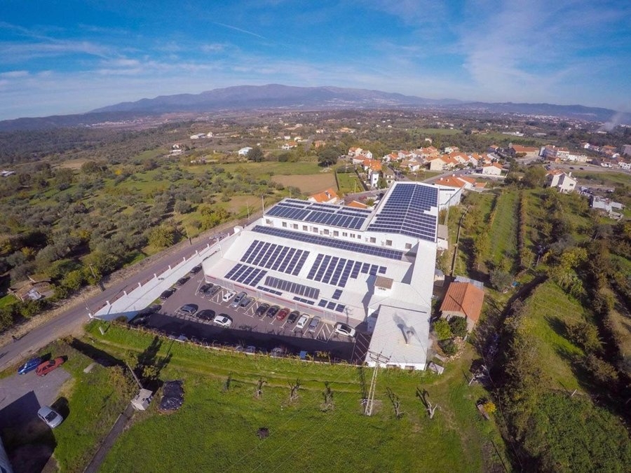 Empresas en la senda de la descarbonizaci&oacute;n